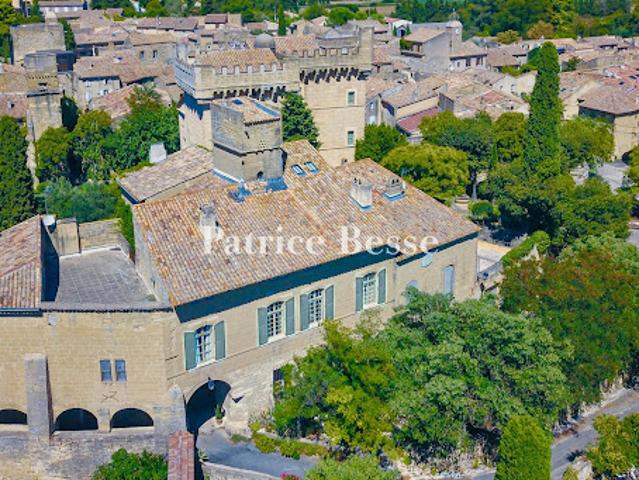 Hôtel particulier