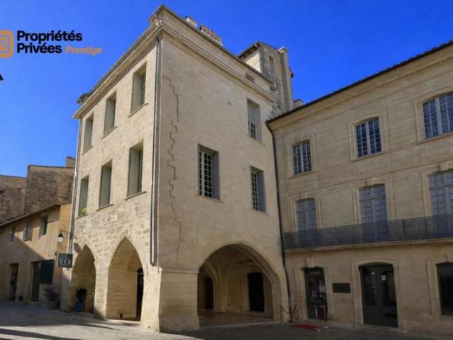 Hotel particulier Uzes rare en totalité, 10 pièce s 320 m2, Place Dampmartin