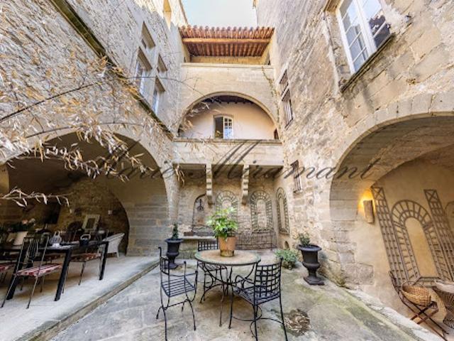 Hôtel particulier avec jardin