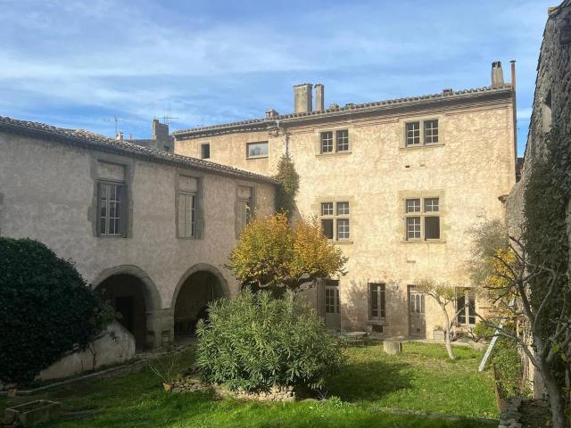Hotel particulier inscrit et dépendances, vue Cité Médiévale 600m² Carcassonne