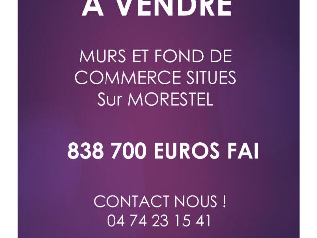 Hotel particulier Morestel 6 pièce s