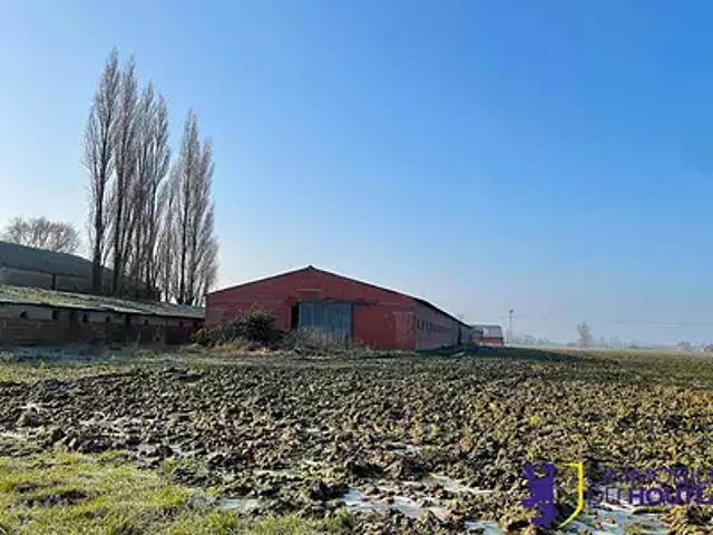 Houtkerque 59470 Achat / Vente divers