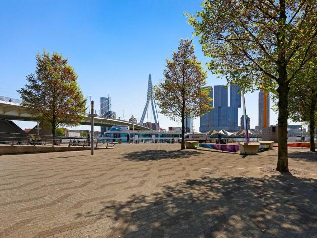Houtlaan 21, Rotterdam, 3016 DA