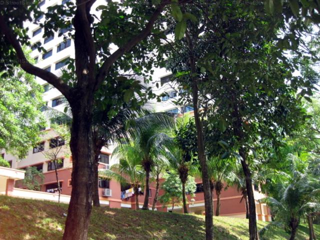 Hougang Avenue 4 Hougang, HDB Executive