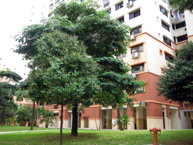 Hougang Street 51 Hougang, HDB 5 Rooms