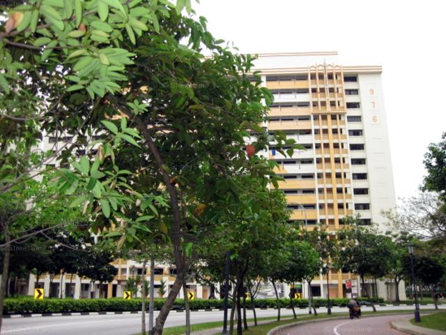 Hougang Street 91 Hougang, HDB 5 Rooms