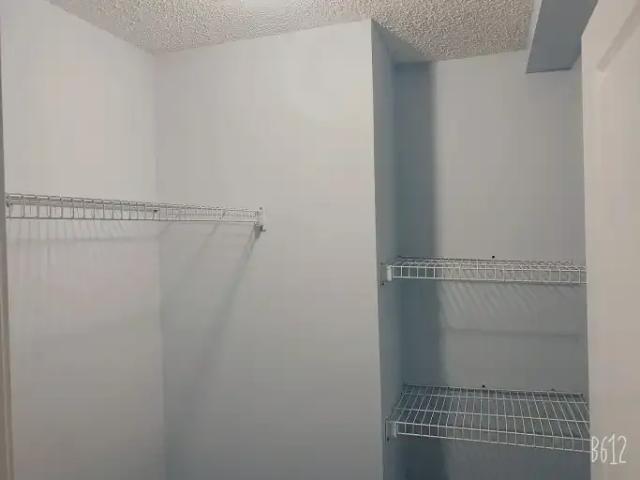 House 4 Bedroom For Rent Edmonton AB 2450 ES103695110
