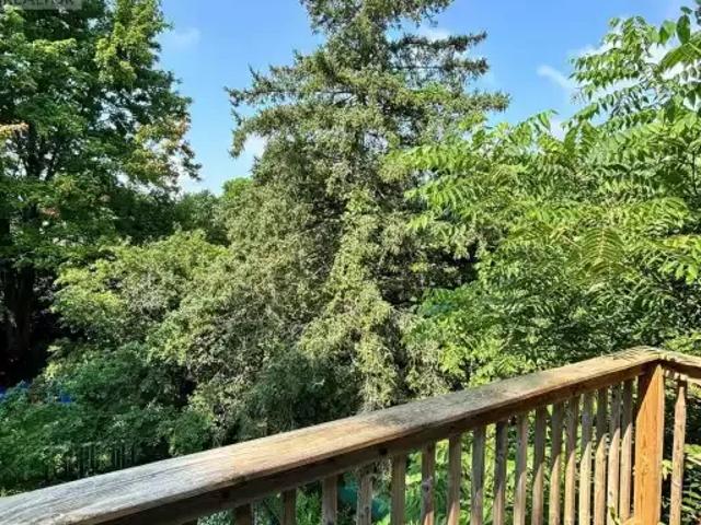 House 1 Bedroom For Rent Caledon ON 1650 ELS102629482