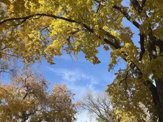 House 2 Bedroom For Rent Calgary AB 1950 ES105009043
