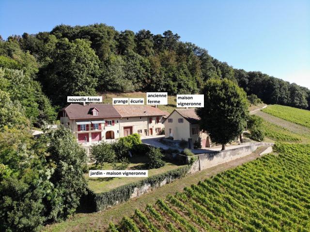 House with 26 rooms on sale in Luins 1 305 m² | dreamo. Ch