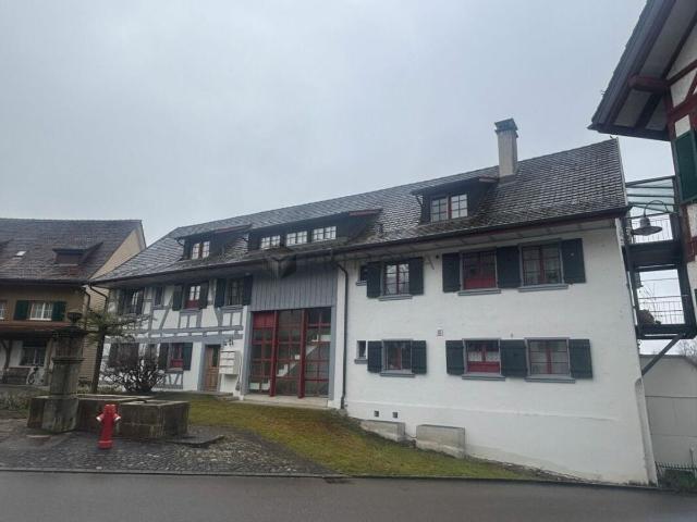 House with 22 rooms on sale in Uesslingen 570 m² | dreamo. Ch