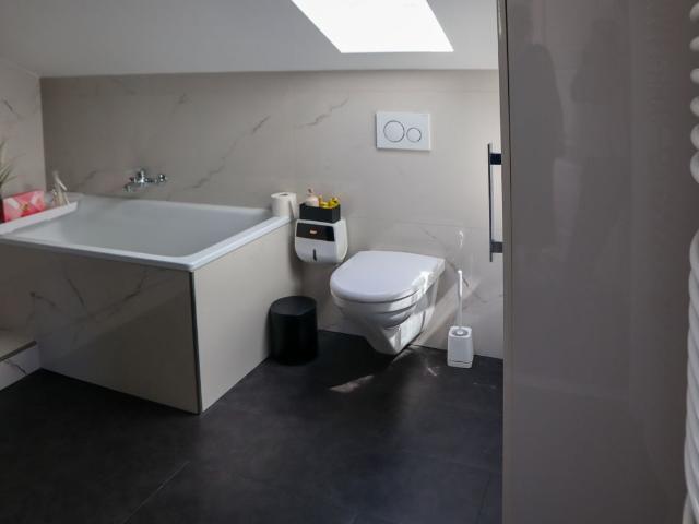 House with 4.5 rooms on sale in Arisdorf 244 m² | dreamo. Ch