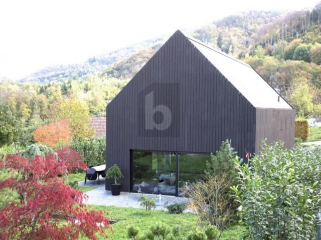 House with 4.5 rooms on sale in Burg im Leimental 139 m² | dreamo. Ch