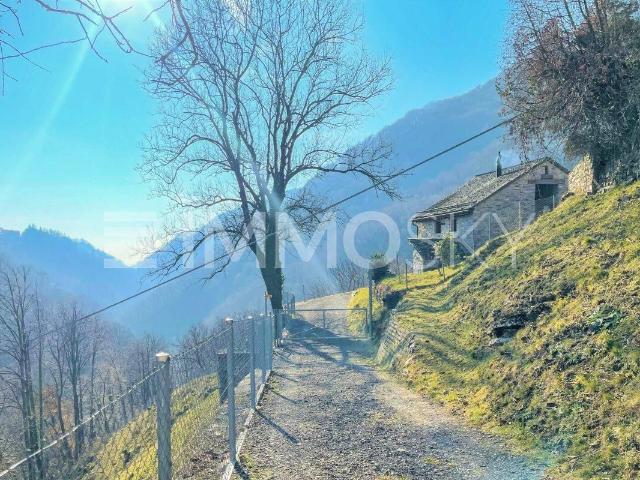 House with 4.5 rooms on sale in Castel San Pietro 85 m² | dreamo. Ch