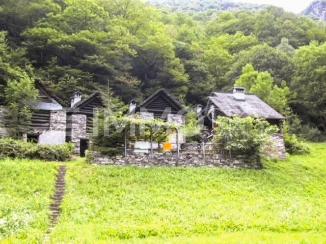 House with 6.5 rooms on sale in Menzonio 134 m² | dreamo. Ch