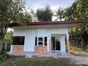 HOUSE AND LOT FOR SALE IN VALENCIA ID 14993
