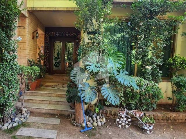 House For Sale With Extra Land