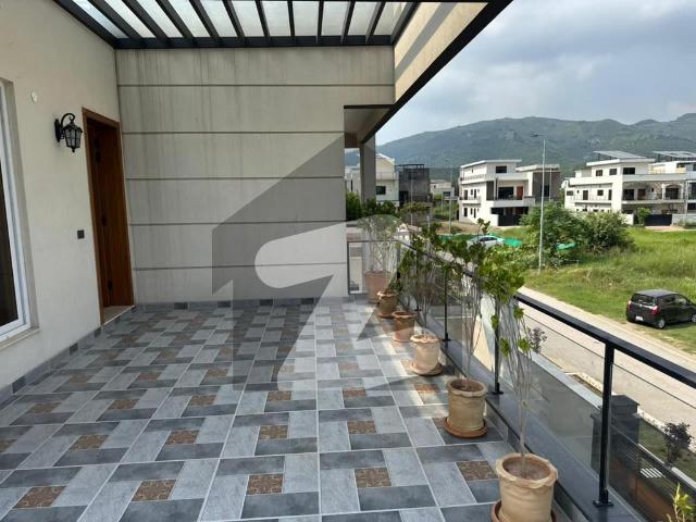 500 Square Yards House Situated In D 12/2 For Sale D 12/2