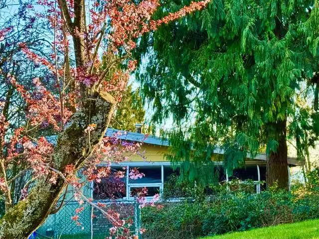 House for sale in White Rock, South Surrey White Rock, 990 Bal.