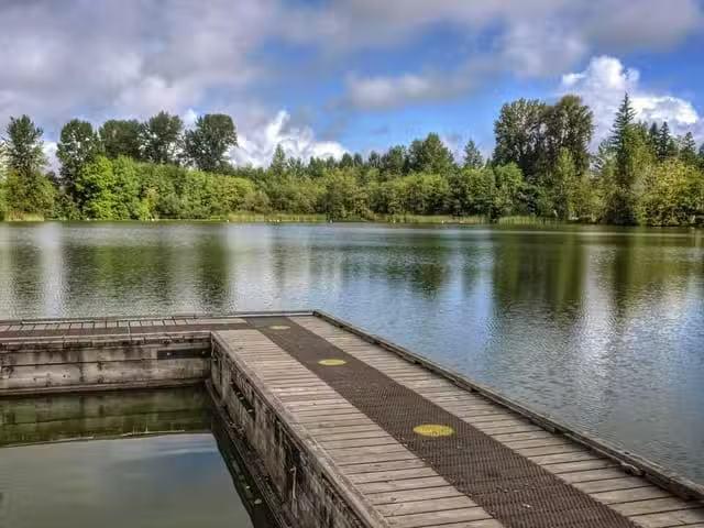 House for sale in Coquitlam, Coquitlam, 1333 Smith Avenue, 263.