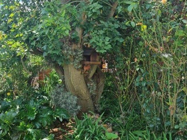 House for Sale in Koster