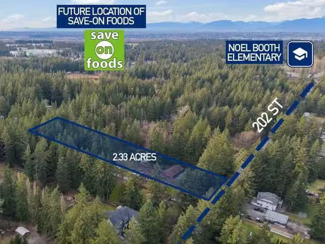 House for sale in Langley, Langley, 3085 202 Street, 263150029