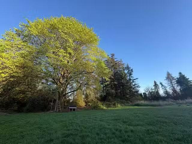 House for sale in Surrey, South Surrey White Rock, 18106 32 Av.