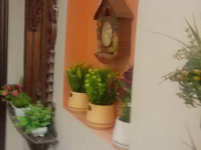 House for sale Islamabad E 11 ID 88291