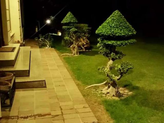 House for sale Islamabad F 11 ID 61166