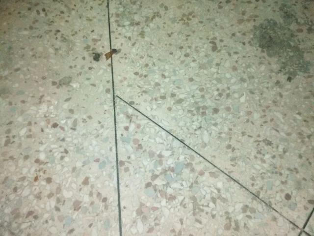 House for sell in G8/1 Islamabad G 8 ID 78826