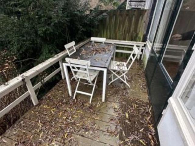 House for rent