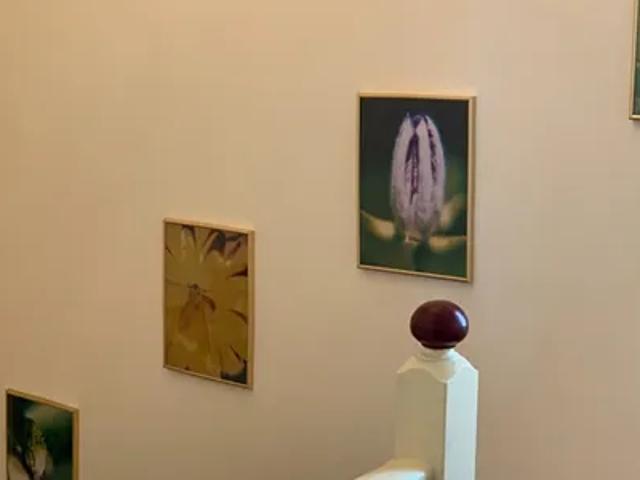 House for rent in Vienna Döbling, Vienna