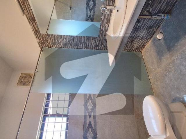 House for rent in e 7 islamabad e 7
