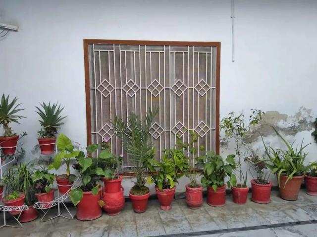 House for rent in Eid Gah Mohallah/ haripur ID 54974