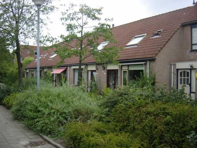House for rent in Kampen