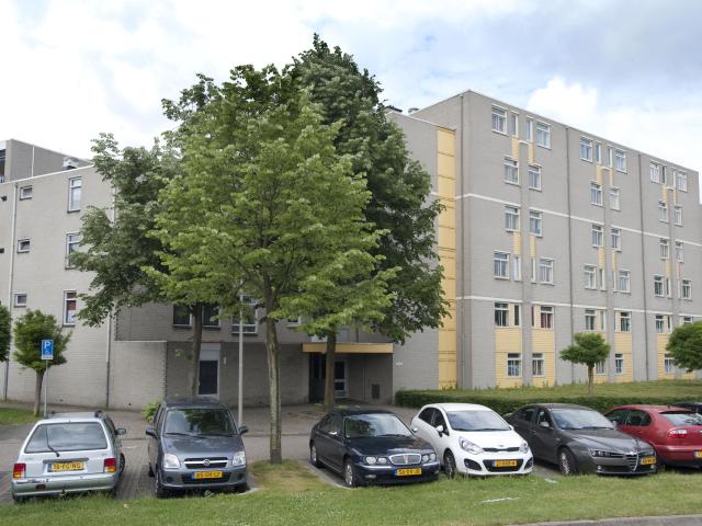 house for rent in Kronenburgsingel, 145, Arnhem, Netherlands