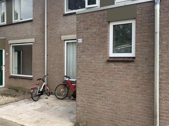 house for rent in Perebloesem 43 7006MK Doetinchem De Huet fase 4 Doetinchem