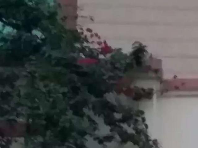 House for rent Islamabad Swan Garden ID 16391