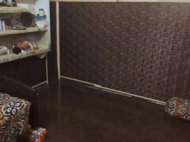 House for rent Okara ID 13314