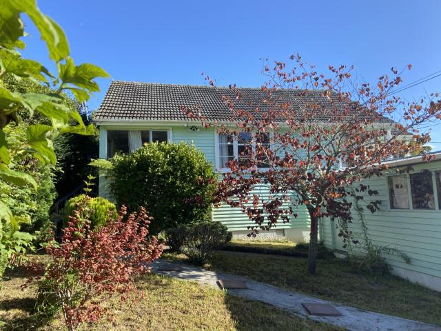 house in 115 Judd Crescent, Naenae, Lower Hutt