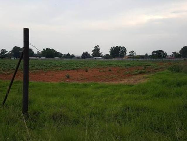 House in Delmas