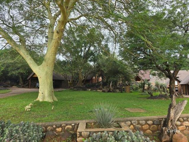 House in Hoedspruit