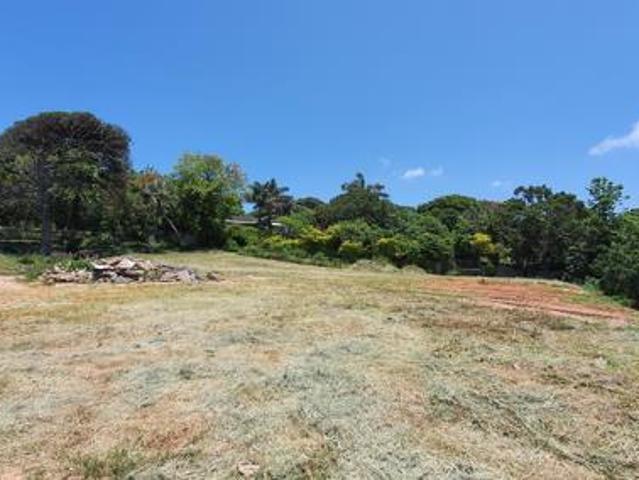 House in Shelly Beach