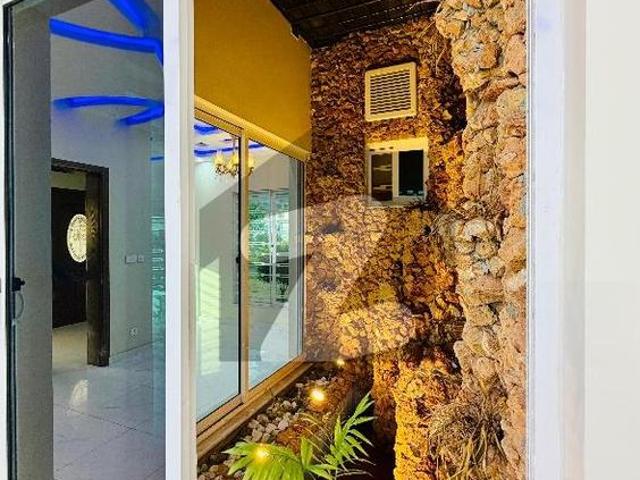 House Of 10 Marla In D 12/2 For Sale D 12/2