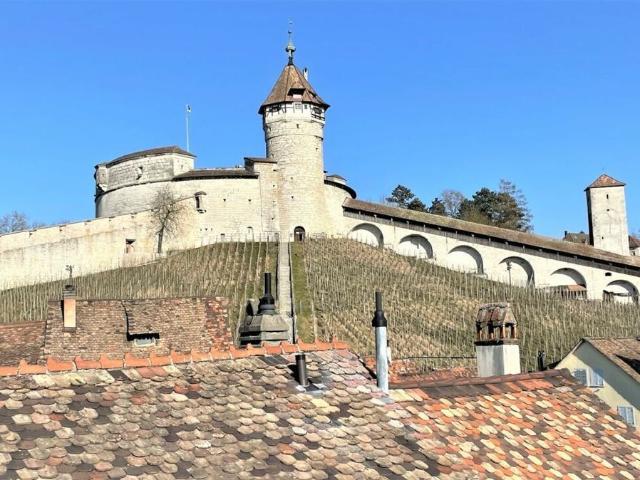 House on sale in Schaffhausen | dreamo. Ch