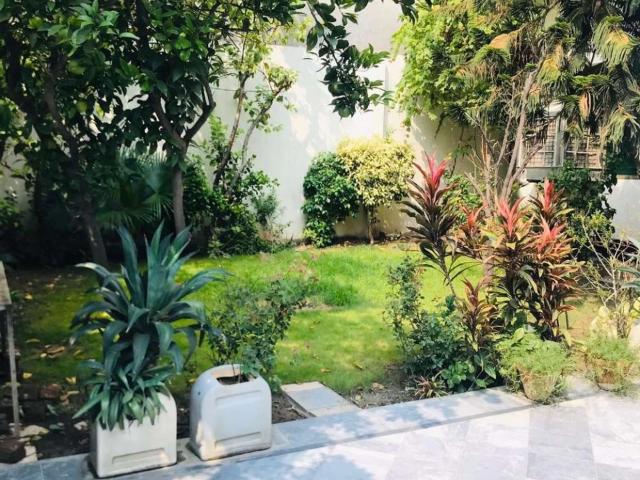 House Sheikhupura ID 21189
