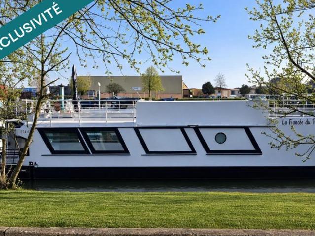 Houseboat 15 m habitable terrasse 2 moteurs neuf