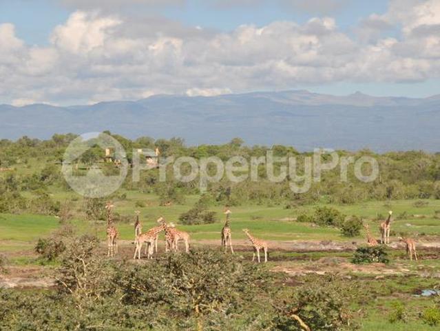 Houses for sale Naromoru, Nyeri PID: 5AYBZ | PropertyPro
