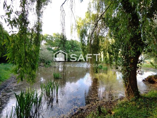 Houssay Vente Terrain 53