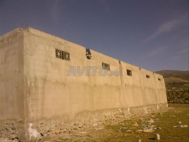 اهرمومو فيرما